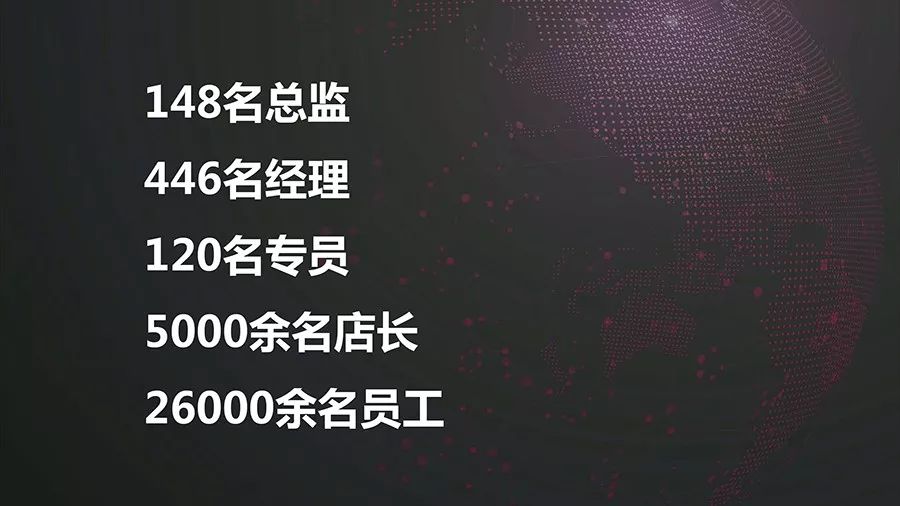 澳门王中王100,持久性策略解析_社交版49.575