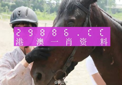 澳门今晚必中一肖一码,动态说明解析_V版65.744