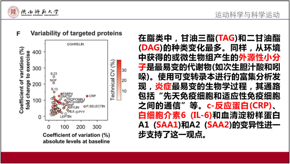 2024香港图库免费资料大全看,准确资料解释落实_优选版2.332