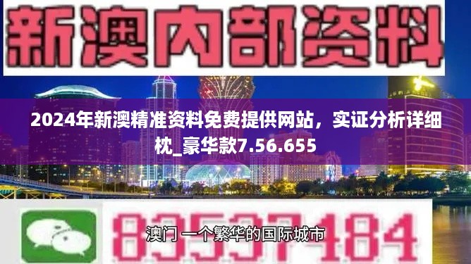 2024新澳免费资料五不中资料,效率资料解释落实_win305.210