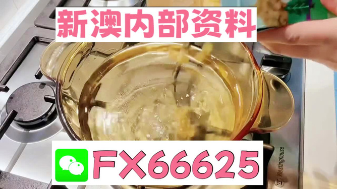 新澳内部资料精准大全,动态调整策略执行_限量版3.867