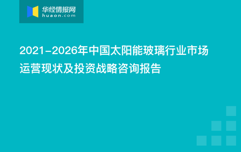 2024年管家婆一奖一特一中,互动性执行策略评估_专业版2.266