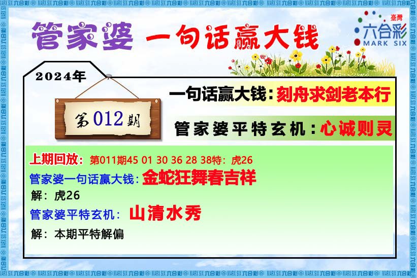 2o24年管家婆一肖中特,重要性解析方法_高级版12.398