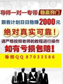 2024澳门天天彩免费正版资料,专业研究解析说明_XT52.860